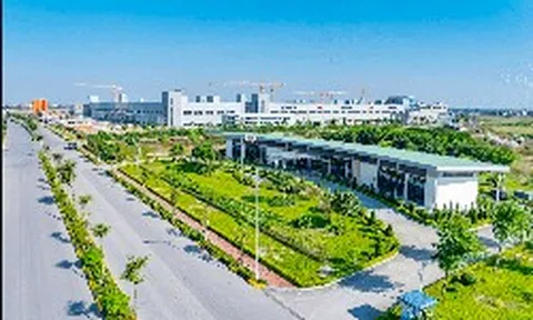 Savills Việt Nam: Năng lực vận hành quyết định sức hút bất động sản công nghiệp