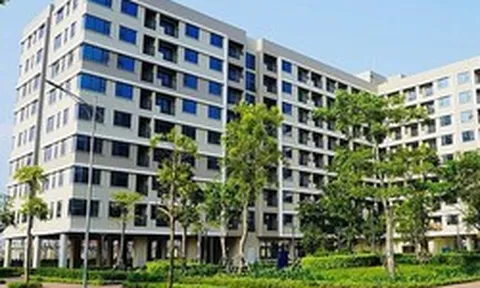 Một doanh nghiệp được giao hơn 2.400m2 đất để làm dự án nhà ở xã hội Liên Hà