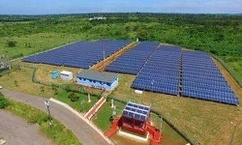 Trung Quốc là 'ông trùm' nhưng Cuba đang ồ ạt nhập mặt hàng này từ Mỹ - 'Họ đang trở thành khách hàng quan trọng của chúng ta'