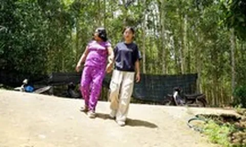 Ngày nào cũng tìm mẹ trong mưa gió, ở miếu hoang, nữ sinh đậu đại học cả xóm Trà Bồng che chở