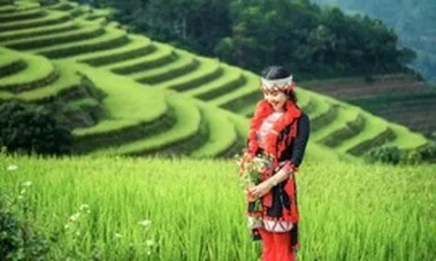 Mùa vàng gọi khách, Hồng Thái tìm hướng phát triển du lịch bốn mùa