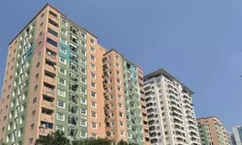 Khi người mua chung cư lấy lại quyền lựa chọn