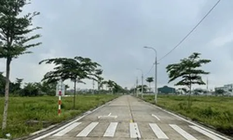 Tạo cơ chế để doanh nghiệp, hộ sản xuất tiếp cận mặt bằng