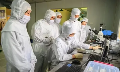 Những gương mặt Việt Nam ghi danh bảng xếp hạng nhà khoa học ảnh hưởng nhất thế giới 2026
