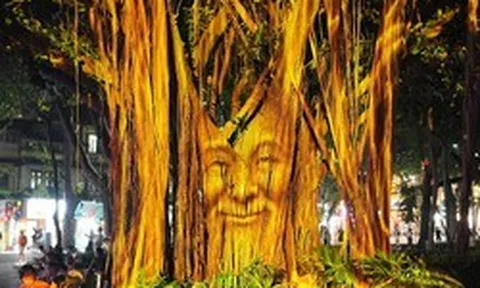 Độc đáo trình diễn 3D Mapping trên cây đa cổ bên Hồ Gươm