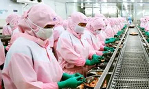 Chuyện lạ: Doanh nghiệp miền Tây đề xuất nhập khẩu lao động, nên không?