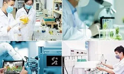 Cơ chế mới thu hút chuyên gia, tài năng trẻ trong lĩnh vực dữ liệu và đổi mới sáng tạo
