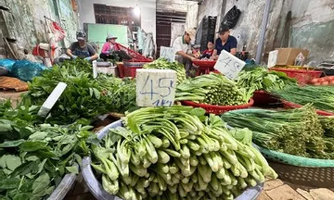 Giá rau tại TPHCM hạ nhiệt nhưng dự báo tiếp tục neo cao trong 3 tuần tới