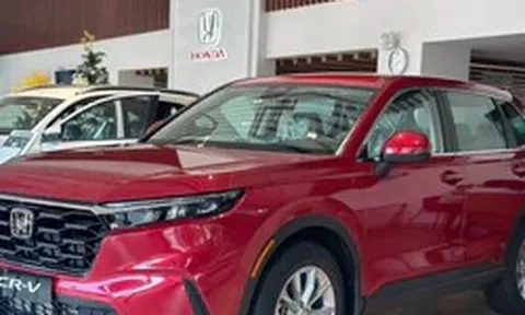 Những mẫu xe hybrid ăn khách nhất tại Việt Nam