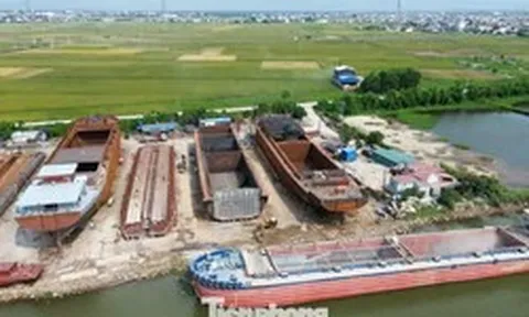 Bí thư Tỉnh ủy Ninh Bình khảo sát các xưởng đóng tàu nằm trong hành lang đê điều