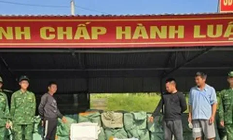 Phát hiện hơn 6 tấn nầm lợn, trứng gà non bốc mùi ở biên giới Quảng Ninh