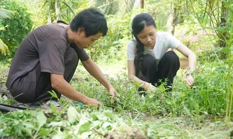 Tặng 50 triệu cho nữ SV không còn cha mẹ, nương tựa vào cậu ruột, HS giỏi tiếng Anh tỉnh Vĩnh Long