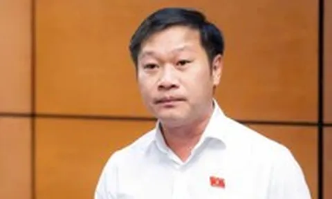 'Một lần vượt đèn đỏ bằng xe máy bị phạt khoảng 83% thu nhập bình quân đầu người một tháng'