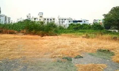 Để đất trống do vướng quy hoạch, đất để dành cho con có bị xem bỏ hoang, phải đánh thuế?
