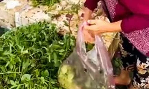 Hai người ở Cà Mau trúng 165 tờ vé số gần 50 tỉ đồng trong 2 ngày liên tiếp