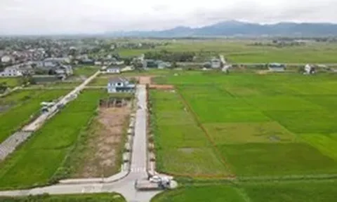 Sau 'sốt nóng', đấu giá đất vùng quê trầm lắng, nhiều nơi ‘trắng hồ sơ’