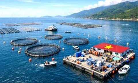 Việt Nam hạ thủy "cỗ máy in tiền" 67 tỷ đồng xuống đặc khu Cô Tô, mở lối săn kho báu 670.000 tấn/năm