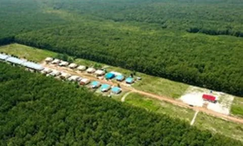 Việt Nam có một đại gia sang Campuchia xây ‘thủ phủ’ cao su: Diện tích trồng hơn 90.000 ha, thu về hàng nghìn tỷ đồng mỗi năm