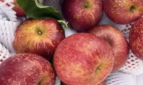 Trái cây Trung Quốc siêu rẻ: Nho sữa 22.000 đồng/kg, táo mật chỉ 11.000 đồng