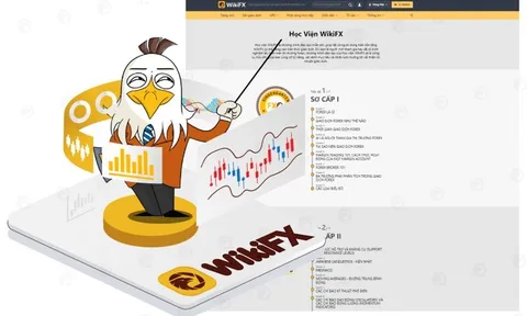 Học viện WikiFX là gì? Cách sử dụng hiệu quả để nâng cao kiến thức và kỹ năng giao dịch Forex